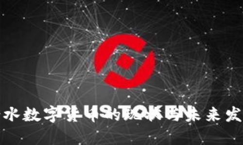衡水数字货币的现状与未来发展