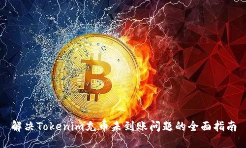 解决Tokenim充币未到账问题的全面指南
