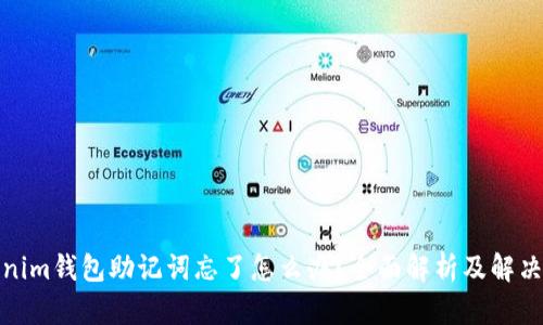 Tokenim钱包助记词忘了怎么办？全面解析及解决方案