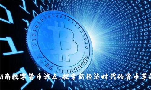 湖南数字货币试点：探索新经济时代的货币革命