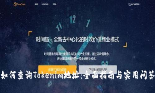 如何查询Tokenim地址：全面指南与实用问答