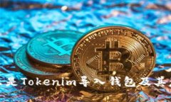 什么是Tokenim导入钱包及其