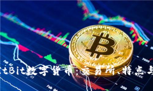 全面解析ItBit数字货币：交易所、特点与未来趋势