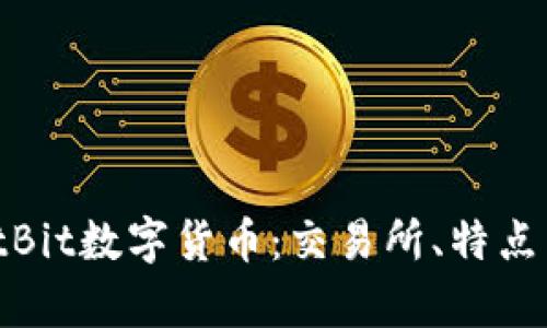 全面解析ItBit数字货币：交易所、特点与未来趋势