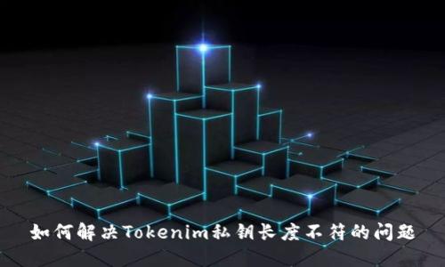 如何解决Tokenim私钥长度不符的问题