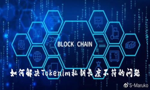 如何解决Tokenim私钥长度不符的问题