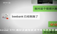 Tokenim BTO：揭秘区块链技术