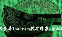 如何查看Tokenim挖矿进度：