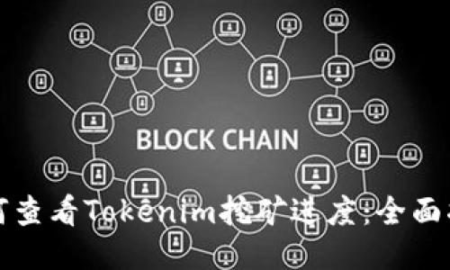 如何查看Tokenim挖矿进度：全面指南
