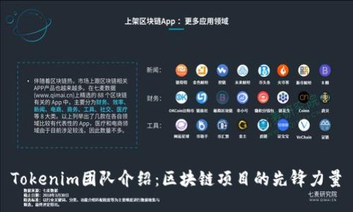 Tokenim团队介绍：区块链项目的先锋力量