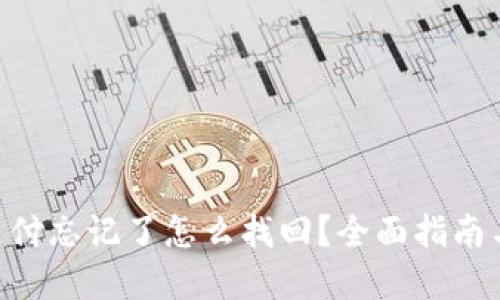 Tokenim支付忘记了怎么找回？全面指南与解决方案