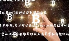   币安DOT转Tokenim的最佳通道解析 /  guanjianci 币安