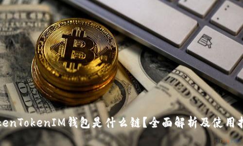 TokenTokenIM钱包是什么链？全面解析及使用指南