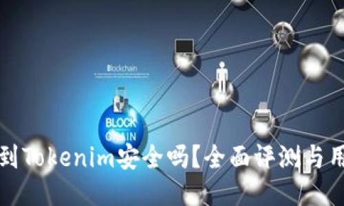 将币提到Tokenim安全吗？全面评测与用户指南