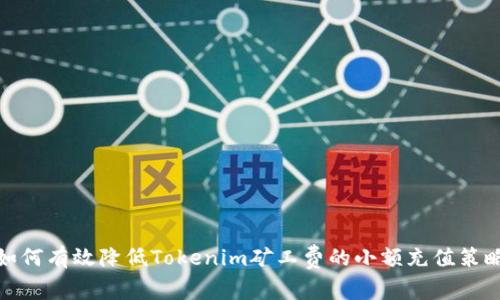 如何有效降低Tokenim矿工费的小额充值策略