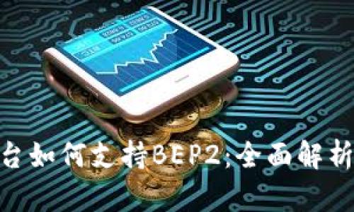 Tokenim平台如何支持BEP2：全面解析及用户指南