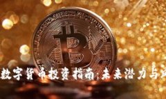 Magic3数字货币投资指南：未来潜力与风险分析