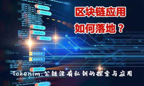 Tokenim：公链没有私钥的探索与应用