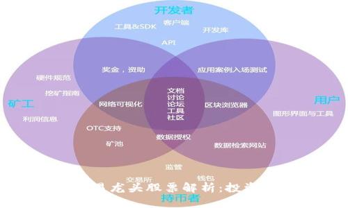数字货币交易龙头股票解析：投资者必备指南