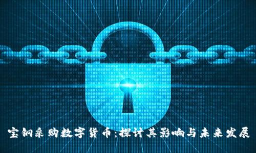 宝钢采购数字货币：探讨其影响与未来发展