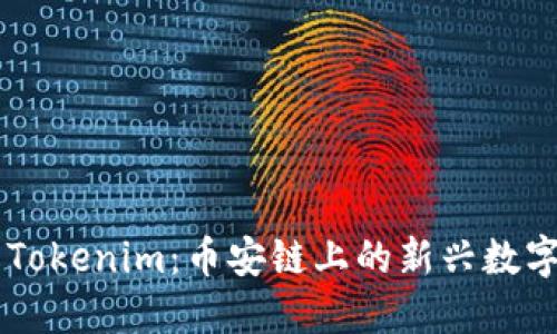 了解Tokenim：币安链上的新兴数字资产