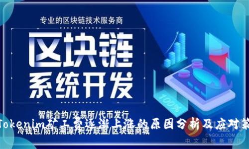 : Tokenim矿工费逐渐上涨的原因分析及应对策略