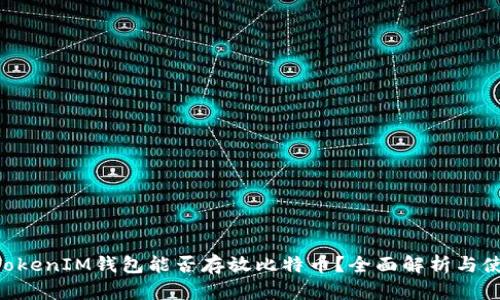 TokenTokenIM钱包能否存放比特币？全面解析与使用指南
