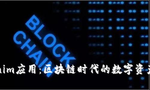 揭秘Tokenim应用：区块链时代的数字资产管理工具