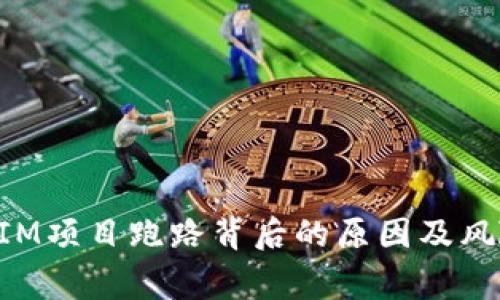 TokenIM项目跑路背后的原因及风险警示