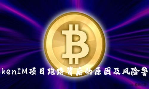 TokenIM项目跑路背后的原因及风险警示