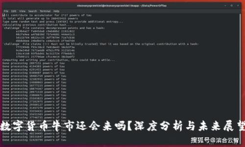 数字货币牛市还会来吗？深度分析与未来展望